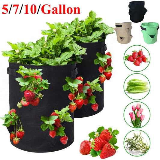 Garden Outdoor Planting Grow Bag