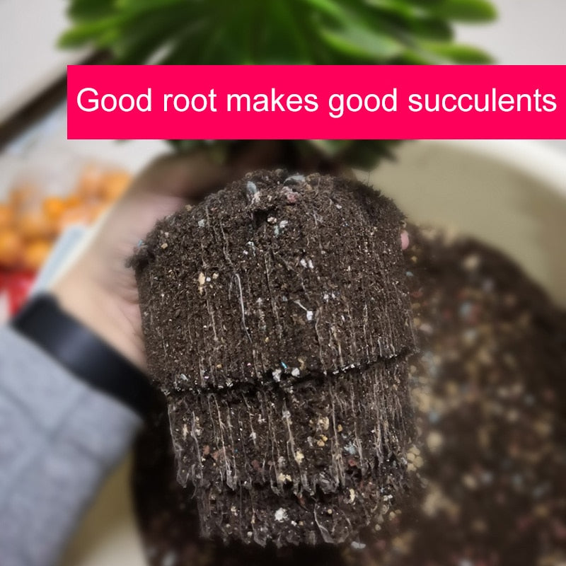 Root Control Pots for Optimal Growth (6 Pack, 3 Liter Square Pots)